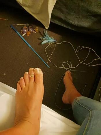 5174145381, female escort, Ann Arbor